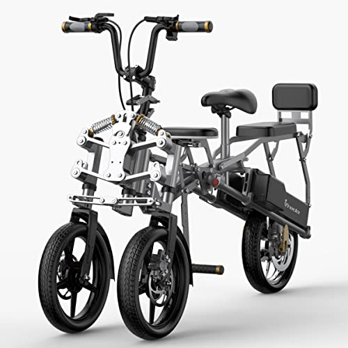 Electric Tricycle for 2 Adults