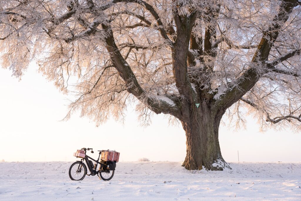 Winter E-Biking Safety Tips & Tricks