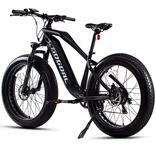 Best Ebike For Electricians