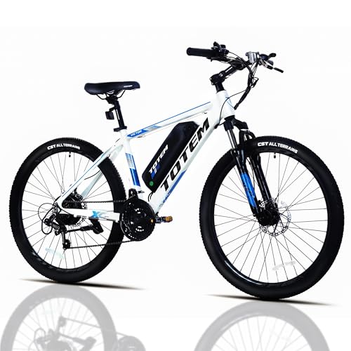 Electric Mountain Bikes for Adults