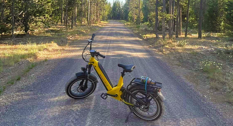 Can Overweight People Ride Ebikes?