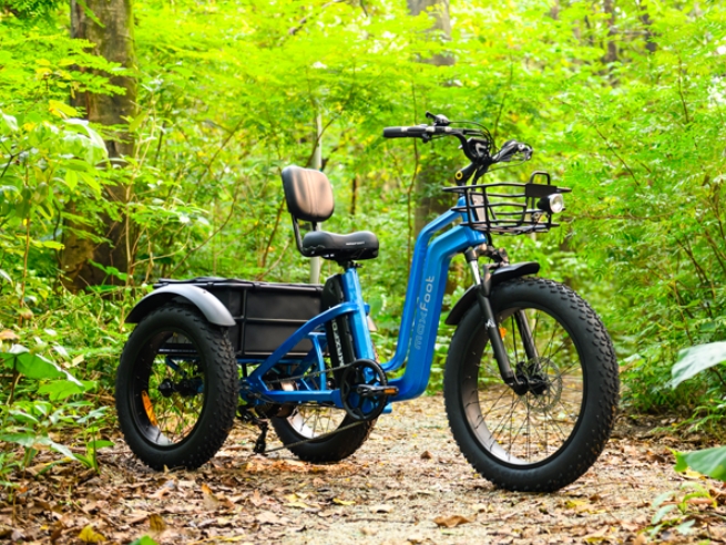 Maxfoot MaxZ 24" Electric Trike Review