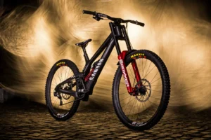 Top E-Bike Brands for Performance Enthusiasts in 2025
