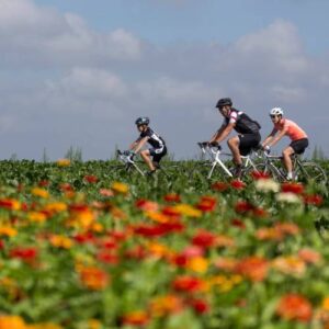 Best Cycling Tours in Europe 2025