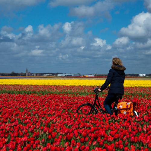 Best Cycling Tours in Europe 2025