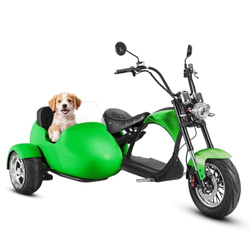 Best 2 Person Ebike