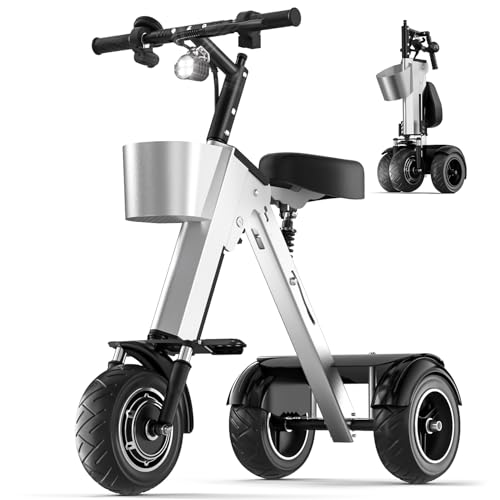 Best 3 Wheel Electric Scooter for Adults​