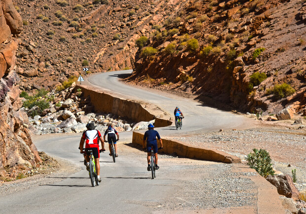 Top Cycling Tours for Remote Workers in 2025