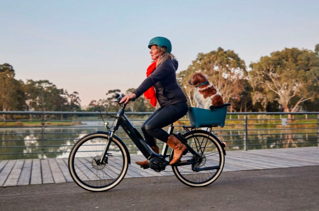 E-Bike Subscription Models for City Dwellers