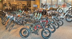 E-Bike Market Trends for Small Businesses in 2025